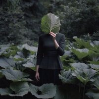 Волобуева Надежда Владимировна