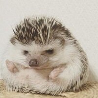 Ульяна Кутина