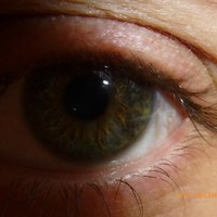 Максими Максимов