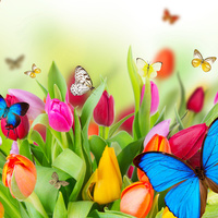 татьяна ларина