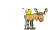 z8j5v0bf7yf441qavd5ea01kvg