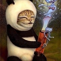 Игнатенко  Сергей