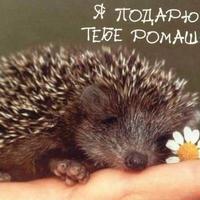 Роман Сальцев