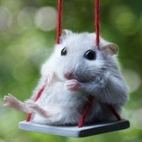 Антонина Никонова