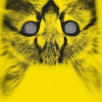 Кирилл Кудашев