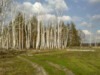 Ирина Берёзка