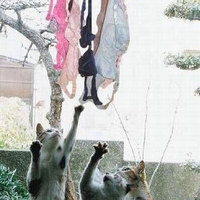 Наталья Береславцева