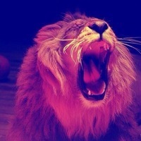 Шарапудин Амачиев