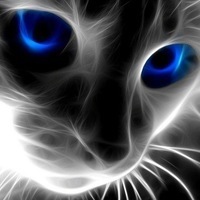 Кристина Сокурова