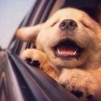 Олеся Рязанова