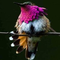 Юлия Кискина