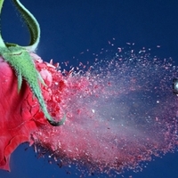 юля величко