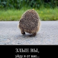 Татьяна Цугаева