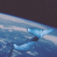 большая шишка