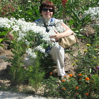 Екатерина Арсеньева