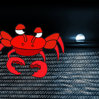 Чечко  Борис