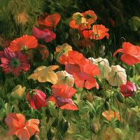 Александра С.