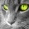марина р.