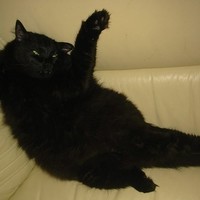 Андрей Козадоев