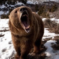 Владимир Чудный