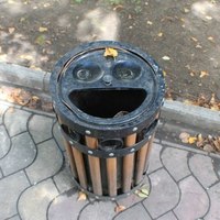 Светлана Дудка