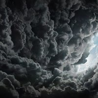 Андрей Ряузов