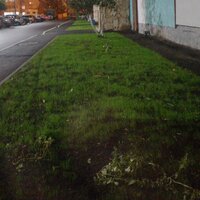 Евгений Демский