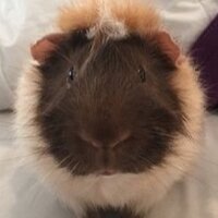 Чурилов Глеб