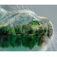 Ксения Кужель