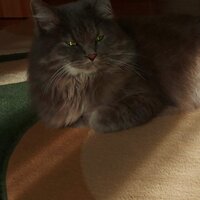 Юлия Ференец