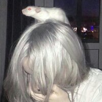 Виолетта Высоцкая