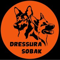 Дрессура собак