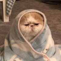 Екатерина К