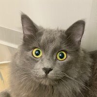 Ольга Зинукова