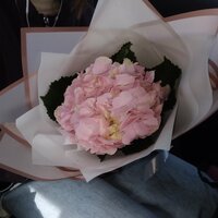 Александра Г.