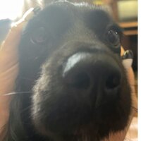 Мария Зайко