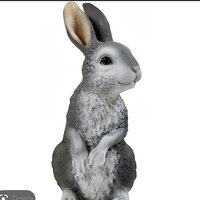 Замира Дохунаева