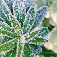 Мария Константинова