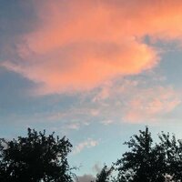 Алиса Успенская