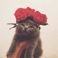 Анастасия К.