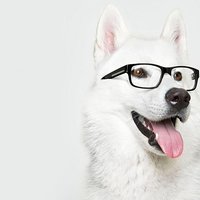 Екатерина М.