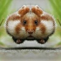 Алёна Anteja Полуляхова