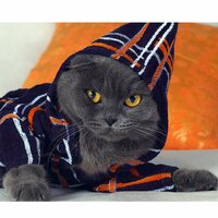 Константин