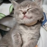 Евгения Юрьевна