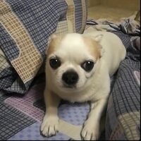 Станислав Драгунов