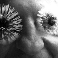 Алексей Орехов