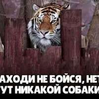 Светлана М.