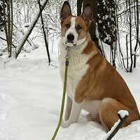 Александр С