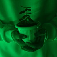 Вячеслав Кузеванов