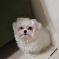 Федоров Владимир